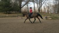 woman horseback riding